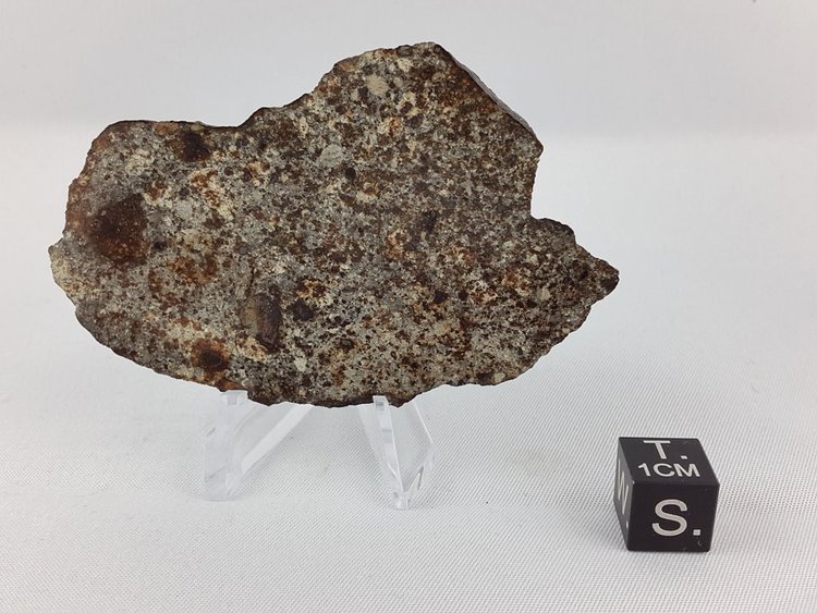 NWA 869 slice - 27.2 g meteorite NWA 869 slice - 27.2 g
